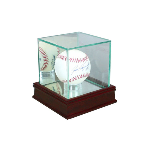 Baseball Glass Display Case