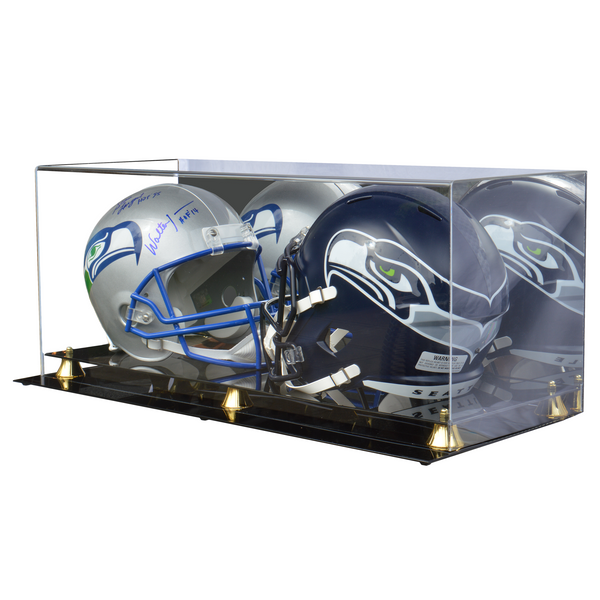 ETCHED GLASS HOCKEY GOALIE MASK DISPLAY CASE WITH CUSTOM STAND