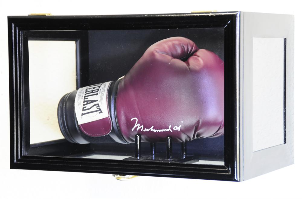 Boxing Glove Wood Display Case Wall Mount Free Shipping UV Free