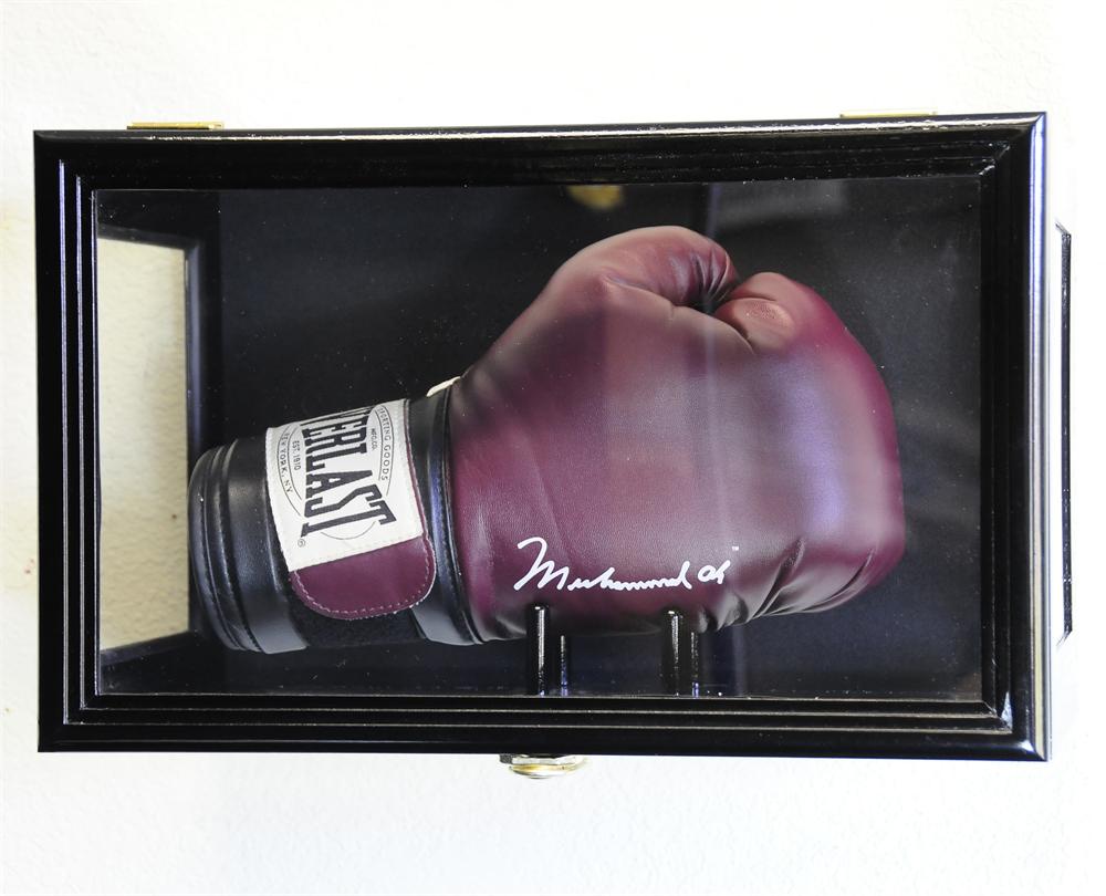 Boxing Glove Wood Display Case Wall Mount Free Shipping UV Free