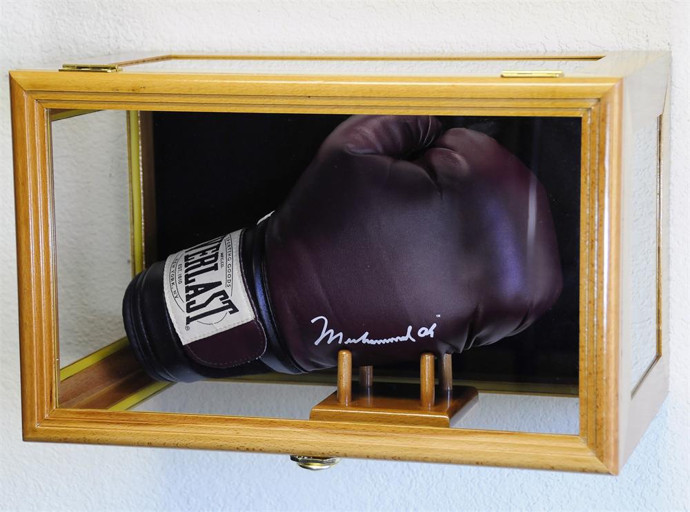 Boxing Glove Wood Display Case Wall Mount Free Shipping UV Free